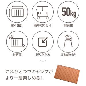 ライシン アウトドアワゴン Eシリーズ 1段タ...の詳細画像5