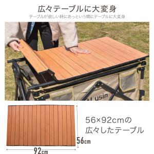 ライシン アウトドアワゴン Eシリーズ 1段タ...の詳細画像5