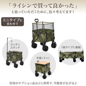 (レビュー投稿で2年保証) ライシン アウトド...の詳細画像2