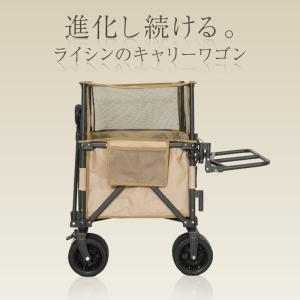 (レビュー投稿で2年保証) ライシン アウトド...の詳細画像1
