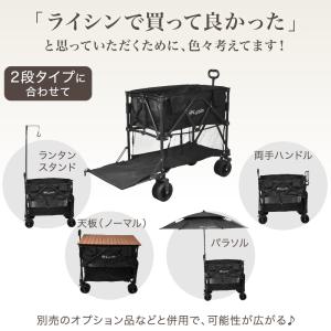 (レビュー投稿で2年保証) ライシン アウトド...の詳細画像2
