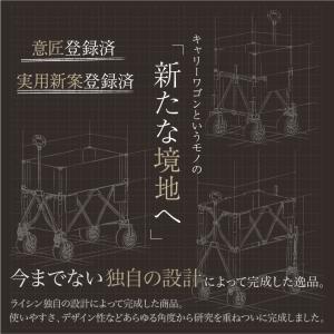 (レビュー投稿で2年保証) ライシン アウトド...の詳細画像2