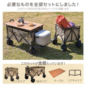 (レビュー投稿で2年保証) ライシン アウトド...の詳細画像3