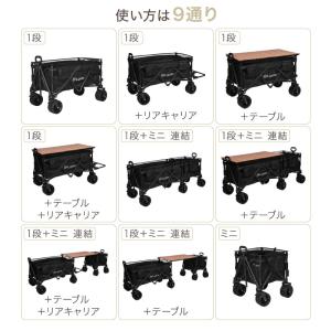 (レビュー投稿で2年保証) ライシン アウトド...の詳細画像4