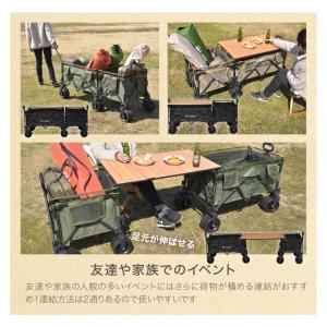 (レビュー投稿で2年保証) ライシン アウトド...の詳細画像5