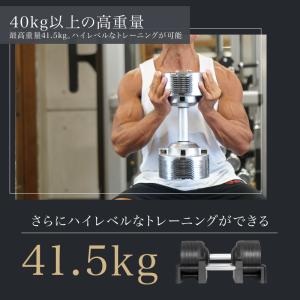 (レビュー投稿で2年保証) プロバーベル 41...の詳細画像5