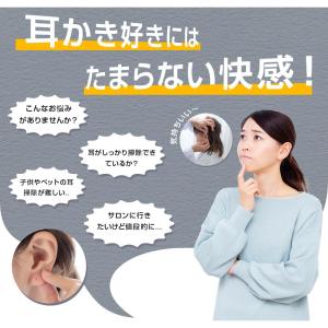 耳かき カメラ LEDライト付き 耳掻き みみ...の詳細画像3