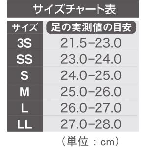 衝撃吸収 骨格矯正 インソール 長距離用 HO...の詳細画像1