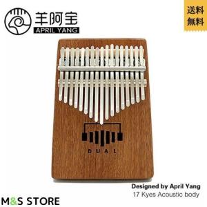 イプヘケ フラダンス フラ打楽器 ハワイアン ハワイ イプヘケバンド