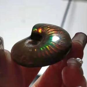 天然虹色アンモナイトアンモライトファセットマダ...の詳細画像2