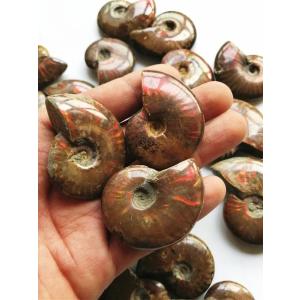 天然虹色アンモナイトアンモライトファセットマダ...の詳細画像4