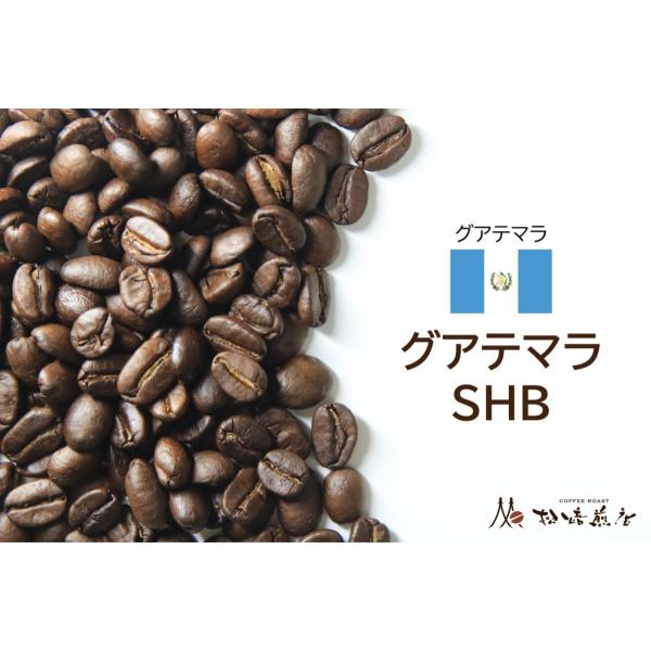 グアテマラSHB 焙煎後約200g