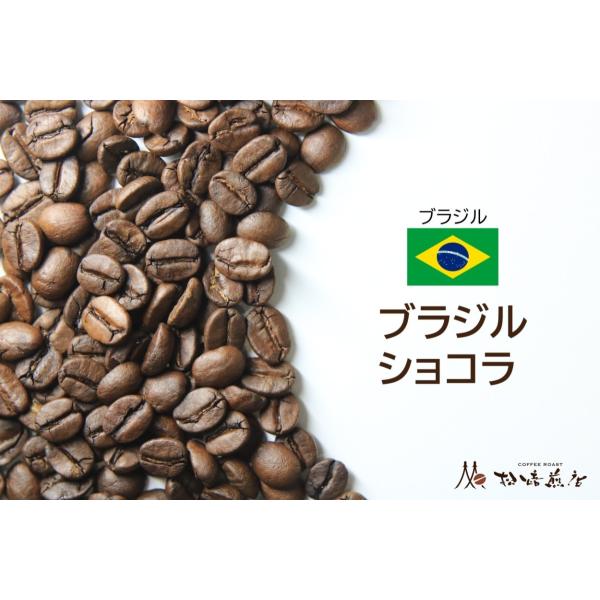 ブラジル ショコラ 焙煎後約200g