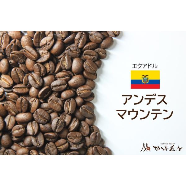 アンデスマウンテン　焙煎後約200g