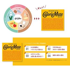 カロリーメイト ブロック 5種類セット×各1箱...の詳細画像1