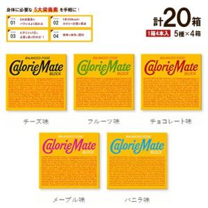 （宅急便）カロリーメイト ブロック 5種類セット 各4箱 計20箱 バニラ・チョコ・チーズ・メープル・フルーツ 栄養補助 大塚製薬