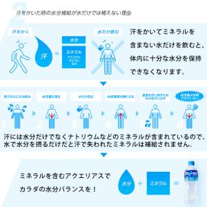 コカ・コーラ アクエリアス スポーツドリンクパ...の詳細画像4