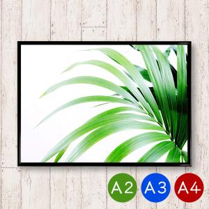 A2/A3/A4ポスター　ヤシの葉　インテリア　植物　写真　アートポスター　壁飾り　ビンテージ　おしゃれ　北欧　ポイント消化　