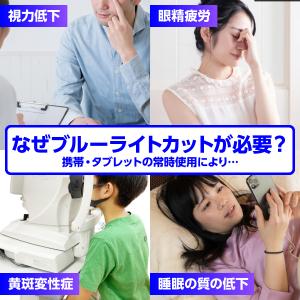 iPad 強化ガラスフィルム 第11世代 第1...の詳細画像4