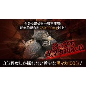 黒マカ 100%粒 黒マカDX 90日分 18...の詳細画像1