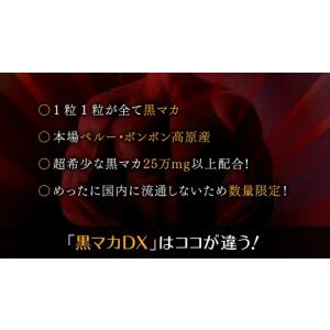 黒マカ 100%粒 黒マカDX 90日分 18...の詳細画像4
