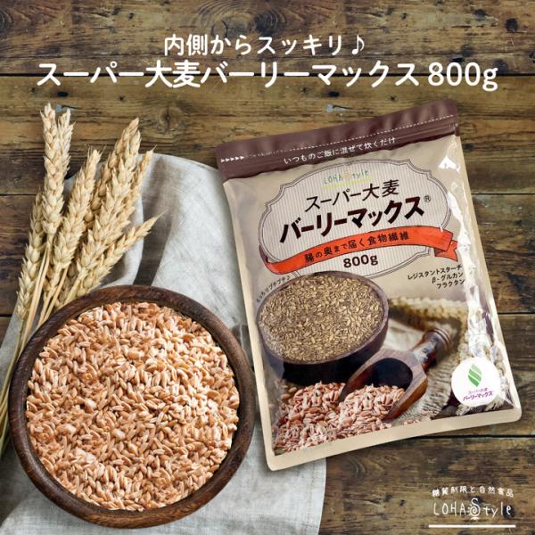スーパー大麦 バーリーマックス 800g ×6 大麦 食物繊維 爆買