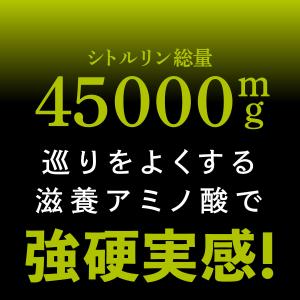 シトルリン サプリ シトルリンGOLD 90日...の詳細画像2