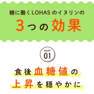 イヌリン 2kg 血糖値 便秘 にお悩みの方に...の詳細画像5