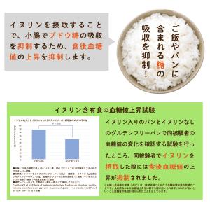 イヌリン 500g 血糖値 便秘 にお悩みの方...の詳細画像4