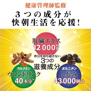 クルクミン サプリ ウコン オルニチン 肝臓エ...の詳細画像2