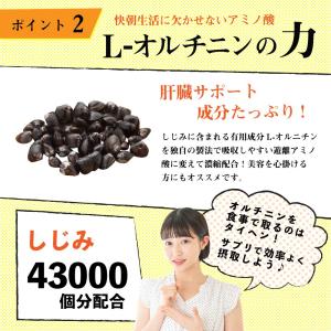 クルクミン サプリ ウコン オルニチン 肝臓エ...の詳細画像3