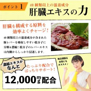 クルクミン サプリ ウコン オルニチン 肝臓エ...の詳細画像4