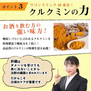クルクミン サプリ ウコン オルニチン 肝臓エ...の詳細画像5