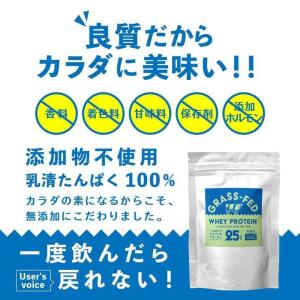 プロテイン ホエイプロテイン プレーン ナチュ...の詳細画像1