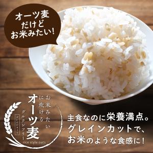 お米 みたいに炊ける オーツ麦 900g 燕麦...の詳細画像1