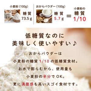 おからパウダー 3kg 乾燥おから 超微粉タイ...の詳細画像5