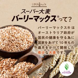スーパー大麦 バーリーマックス 3kg 大麦 ...の詳細画像3