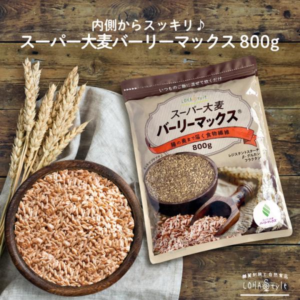 スーパー大麦 バーリーマックス 800g 大麦 食物繊維 LOHAStyle ロハスタイル