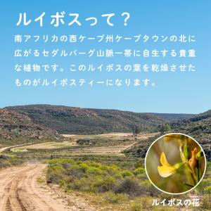 ルイボスティー 粉末100g 水出し 約200...の詳細画像3