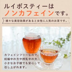 ルイボスティー 粉末100g 水出し 約200...の詳細画像4