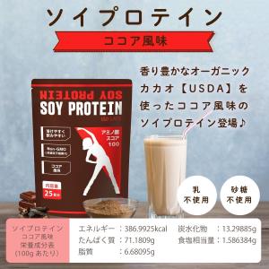 【未使用】ソイプロテイン 美味しいプロテイン ココア(チョコ) 風味 大豆プロテイン 1kg(500g×2袋) 大豆たんぱく アメリカ産