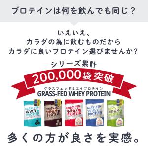 プロテイン ホエイプロテイン 抹茶 1kg グ...の詳細画像2