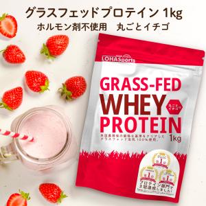 【5/19 23:59まで15%OFF】 プロテイン ホエイプロテイン ストロベリー 苺 1kg グラスフェッド プロテイン アミノ酸 タンパク質 WPC