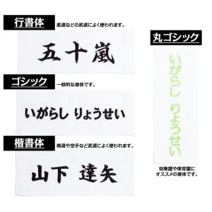 刺繍 アイロン接着 お名前ゼッケン 小 運動会...の詳細画像3