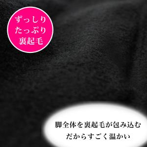 裏起毛タイツ 2足組 防寒 起毛 抗菌 防臭 ...の詳細画像4