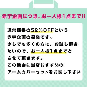【おひとり様1点まで・在庫限りで販売終了】福袋...の詳細画像1