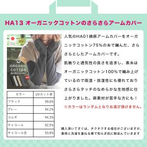 【おひとり様1点まで・在庫限りで販売終了】福袋...の詳細画像3