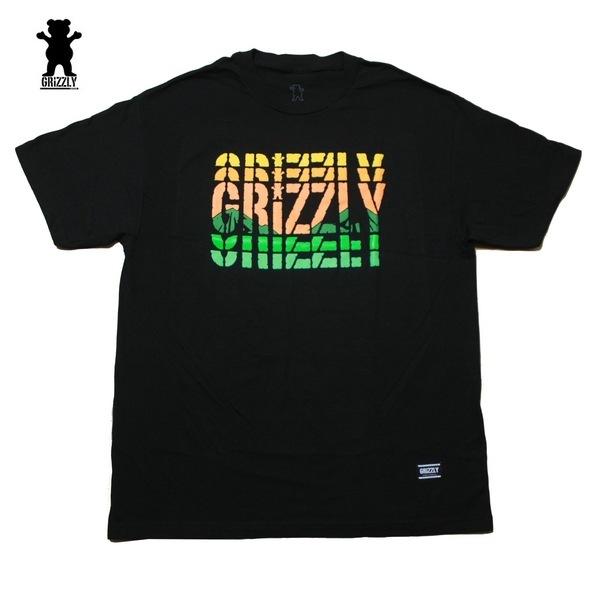 GRIZZLY Tシャツ ALL CONDITIONS SS TEE vigr22sp148 グリズ...