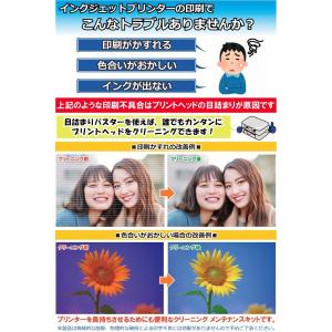 プリントヘッド用 洗浄液 クリーニング液 エプ...の詳細画像2