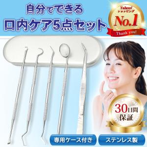 歯石取り 器具 スケーラー 歯石とり 自分で取る 歯石除去 歯垢 ヤニ デンタル ケア